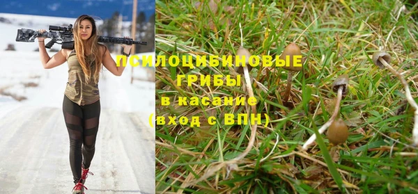 ПСИЛОЦИБИНОВЫЕ ГРИБЫ Киреевск