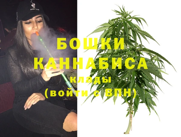 ПСИЛОЦИБИНОВЫЕ ГРИБЫ Киреевск