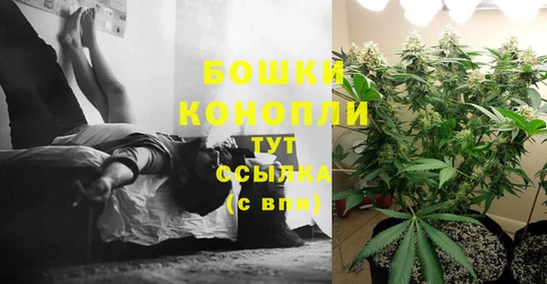 ПСИЛОЦИБИНОВЫЕ ГРИБЫ Киреевск