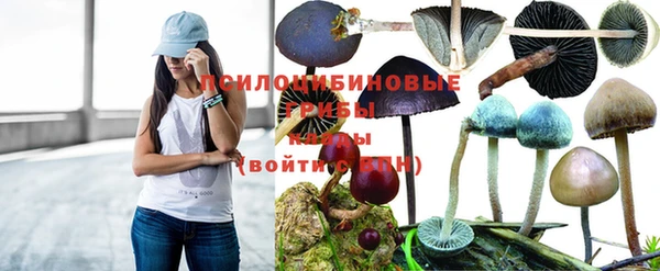 прущая мука Киренск