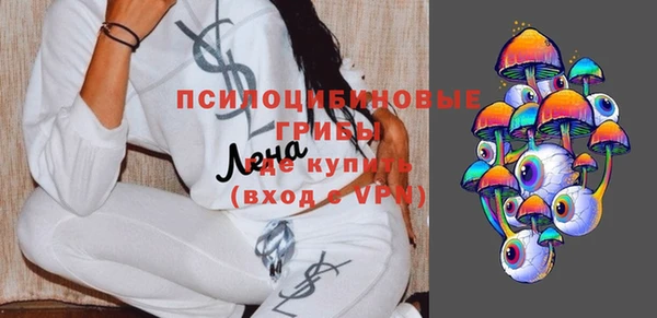 ПСИЛОЦИБИНОВЫЕ ГРИБЫ Киреевск