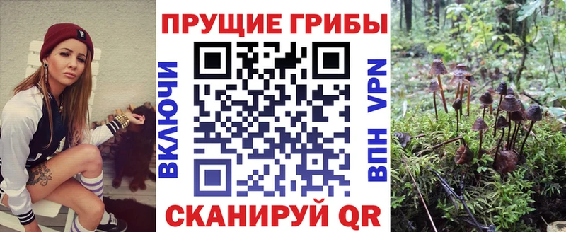 Галлюциногенные грибы ЛСД  гидра как зайти  Красный Холм 
